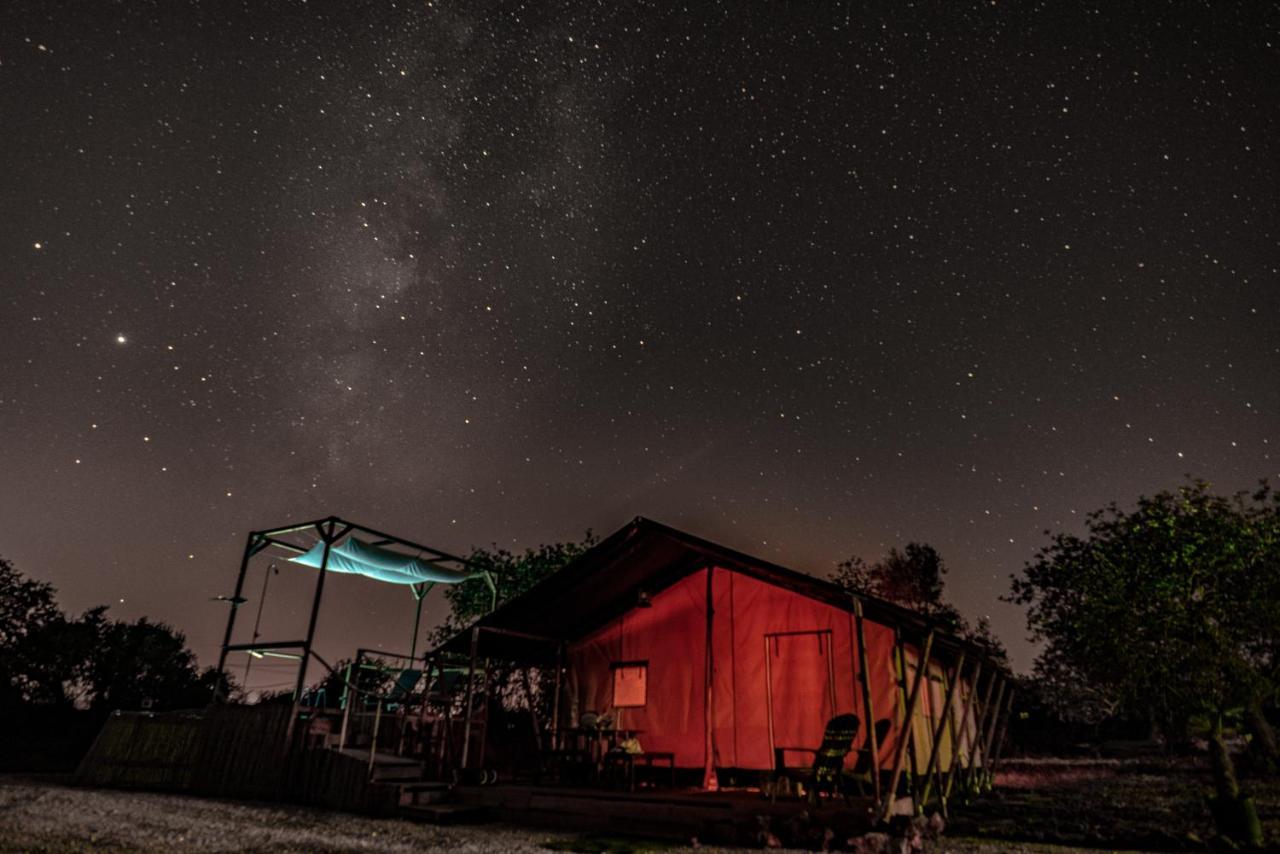 Ses Quinta Luxury Safari Tents Paderne Exterior photo